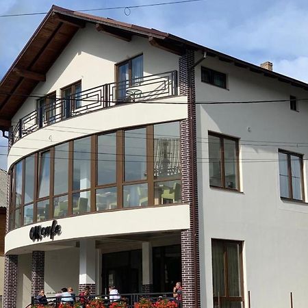 Pensiunea Ok Vişeu de Sus Buitenkant foto